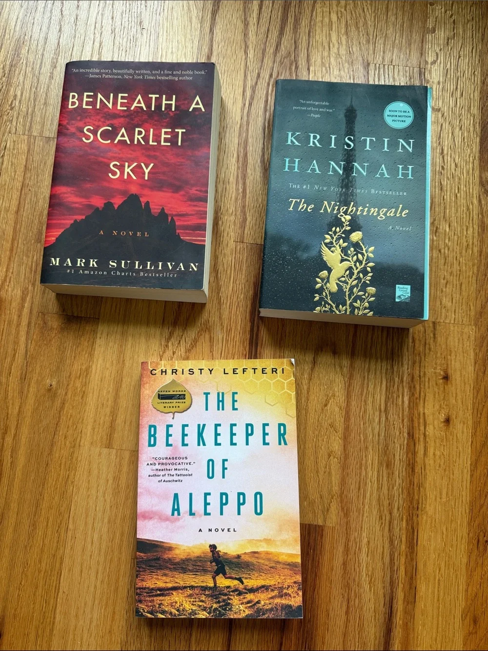 Historical fiction book bundle